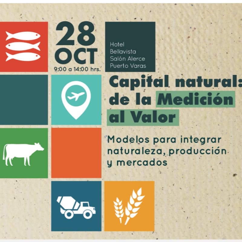 Cover Image for Capital Natural: de la Medición al Valor
