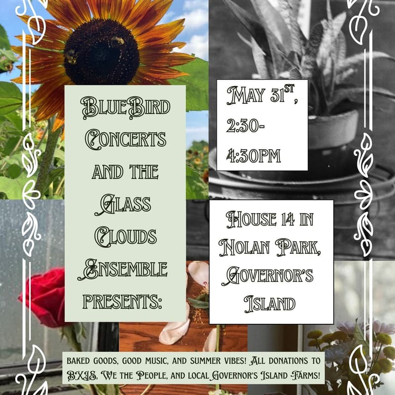 Cover Image for BlueBird Concerts on Governors Island