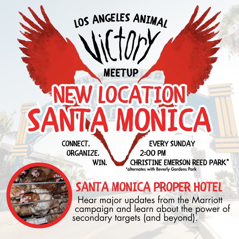 Cover Image for NEW LOCATION Santa Monica - LA Animal Victory Meetup