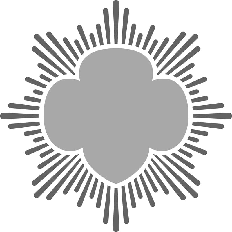 Cover Image for Virtual Silver Award Information Session