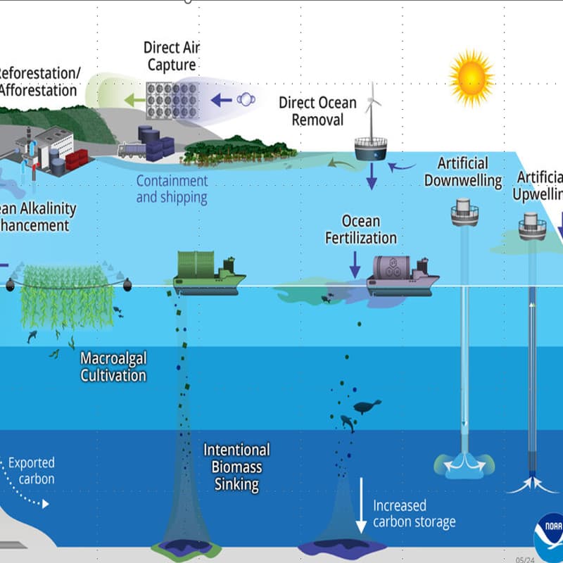 Cover Image for Oceans as Climate Heroes: mCDR Day
