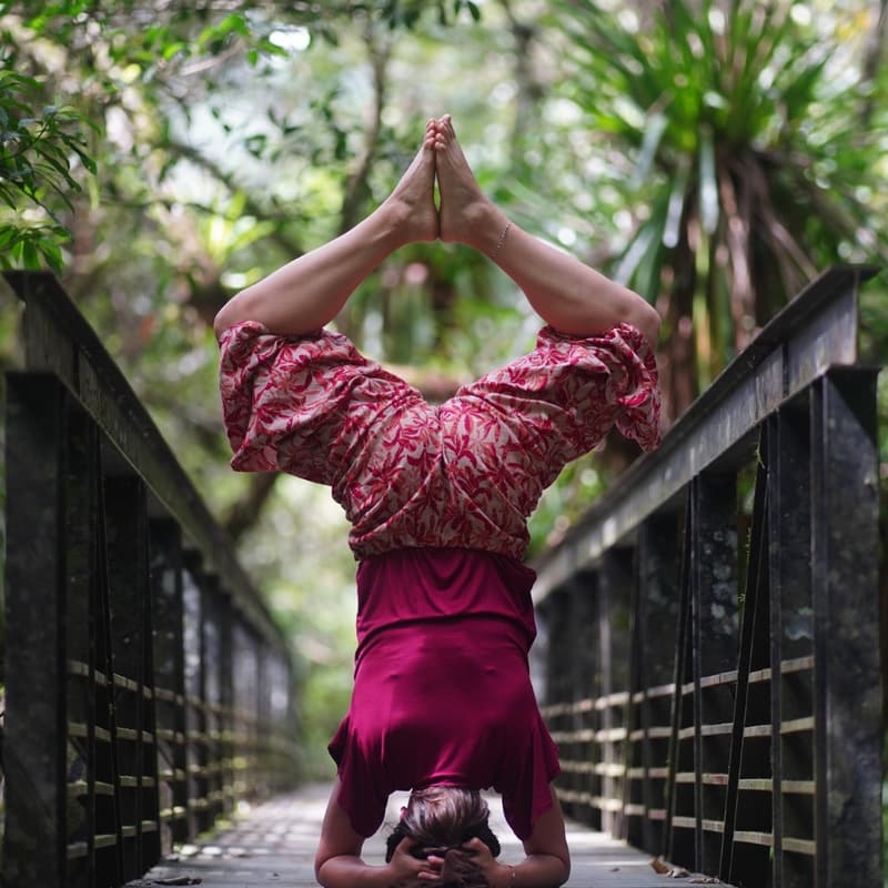 Cover Image for Hatha Yoga & Meditation