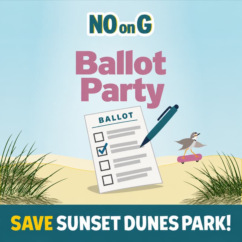 Cover Image for Ballot Party