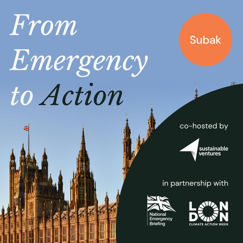 Cover Image for From Emergency to Action: Driving the resilience of the climate movement in times of political uncertainty