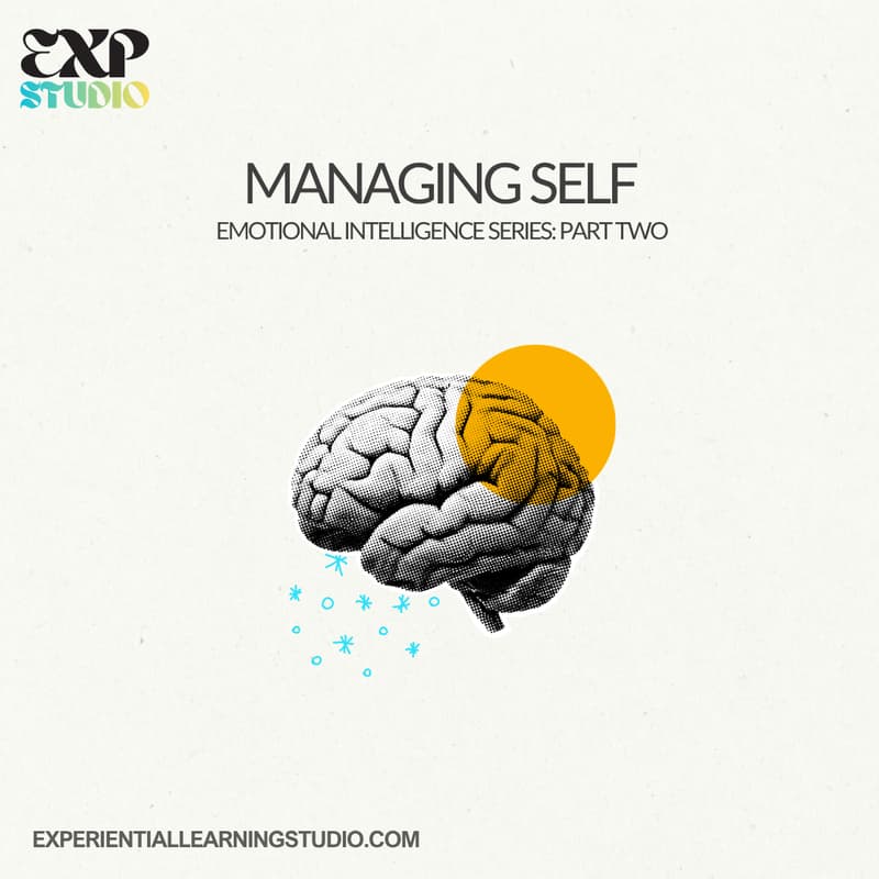 Cover Image for The Experience Studio: Working with Self