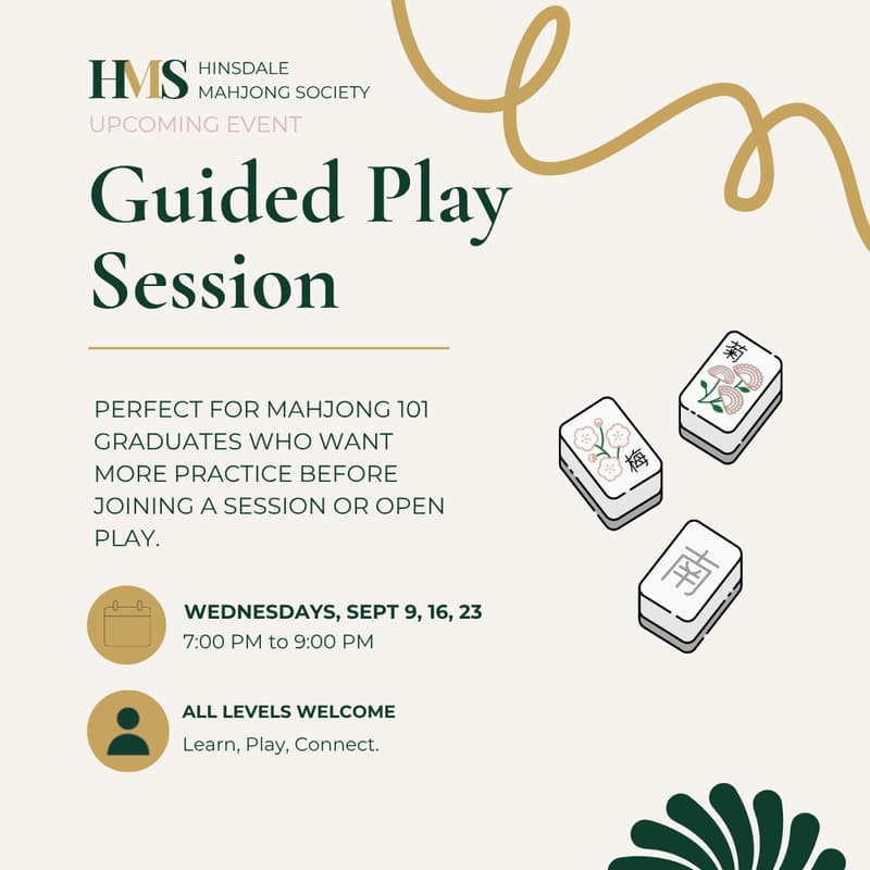 Cover Image for HMS Foundations: Guided Play
