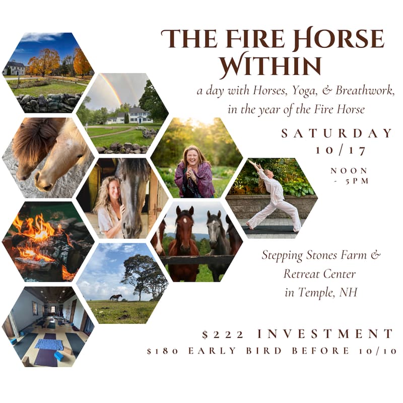 Cover Image for The Fire Horse Within