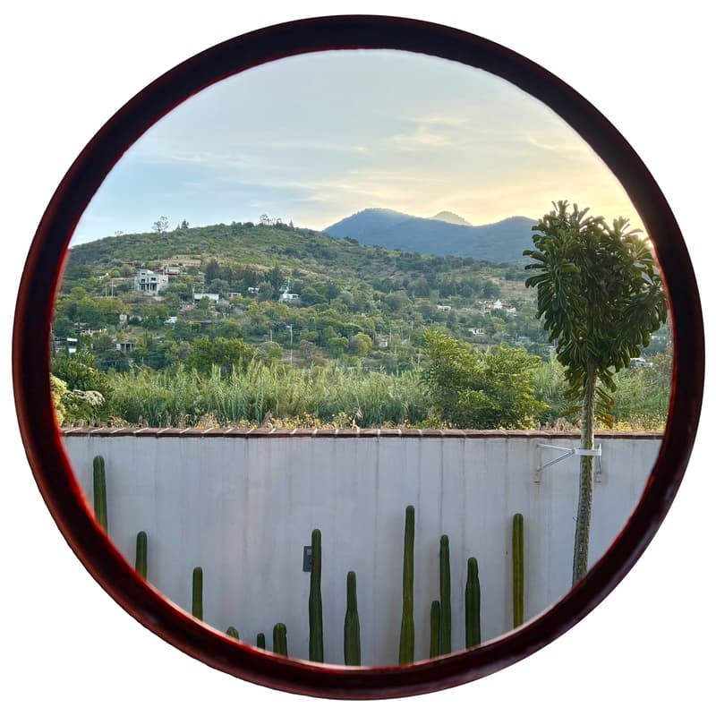 Cover Image for Afternoon Garden Yoga
