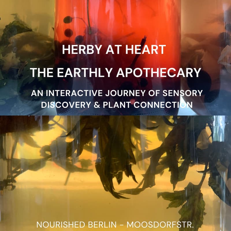 Cover Image for Earthly Apothecary by Herby At Heart