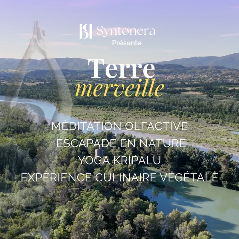 Cover Image for Syntonera | Terre merveille