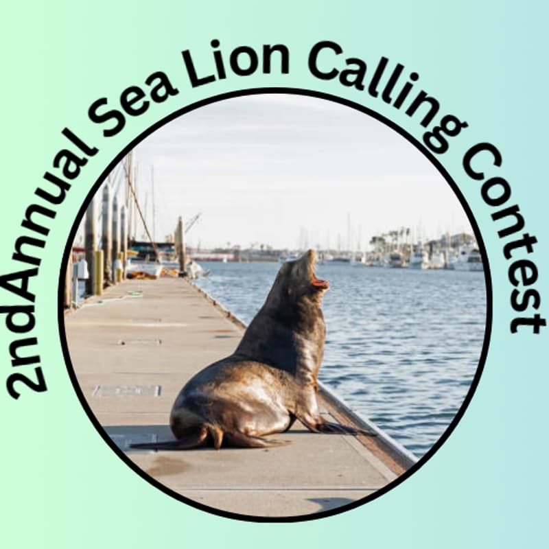 Cover Image for Sea Lion Calling Contest