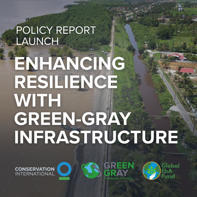 Cover Image for Policy Report Launch — Guidance for Policymakers: Enhancing Resilience with Green-Gray Infrastructure