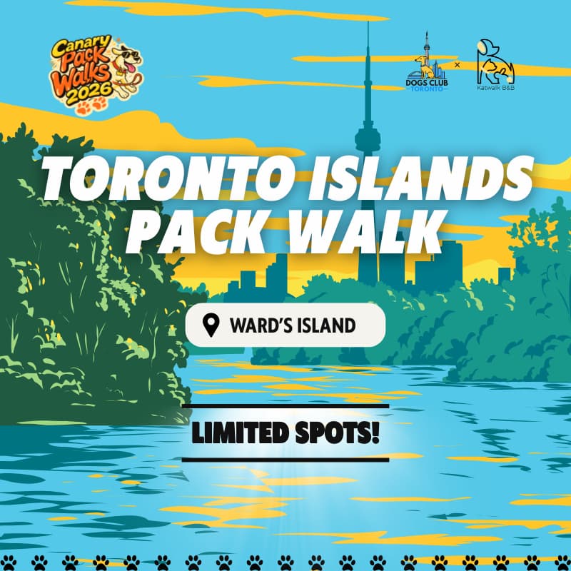 Cover Image for Toronto Islands Pack Walk - August 8th
