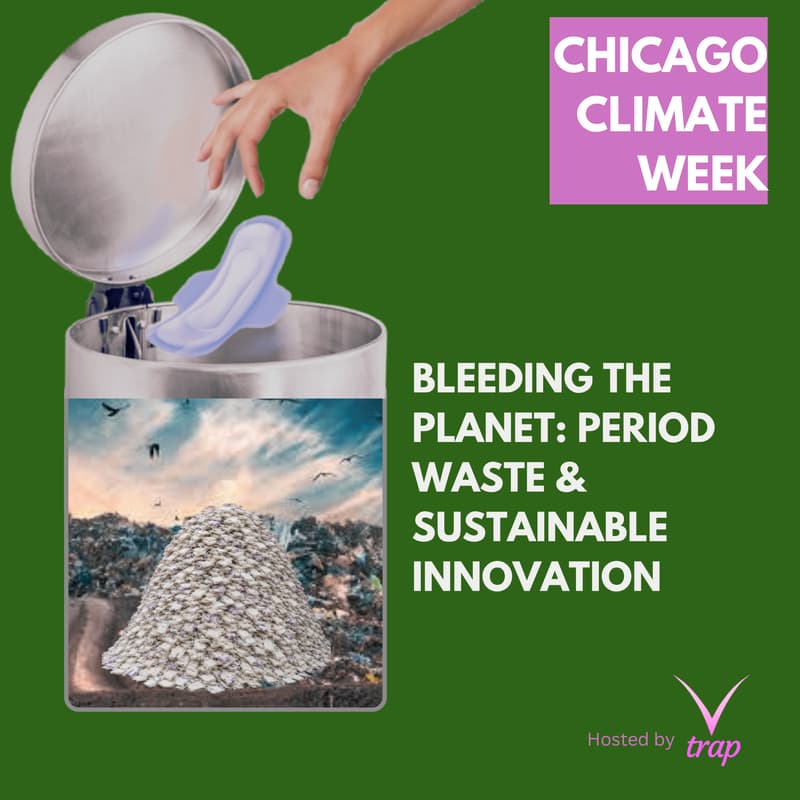 Cover Image for Bleeding The Planet: Period Waste & Sustainable Innovation
