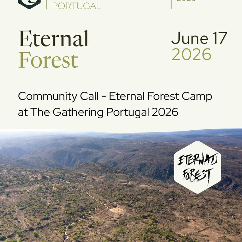 Cover Image for Eternal Forest Camp Community Call