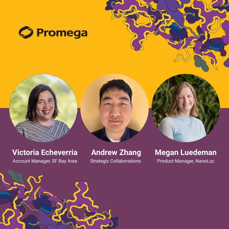 Cover Image for Promega Lunch & Learn: Drug the Undruggable, in Living Cells