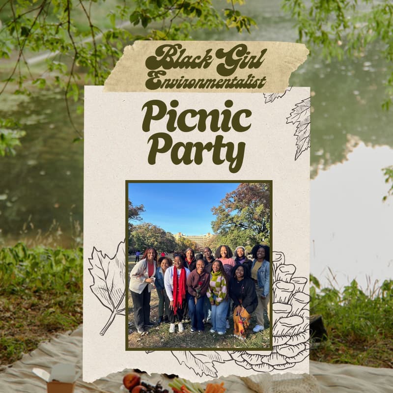 Cover Image for Picnic Party