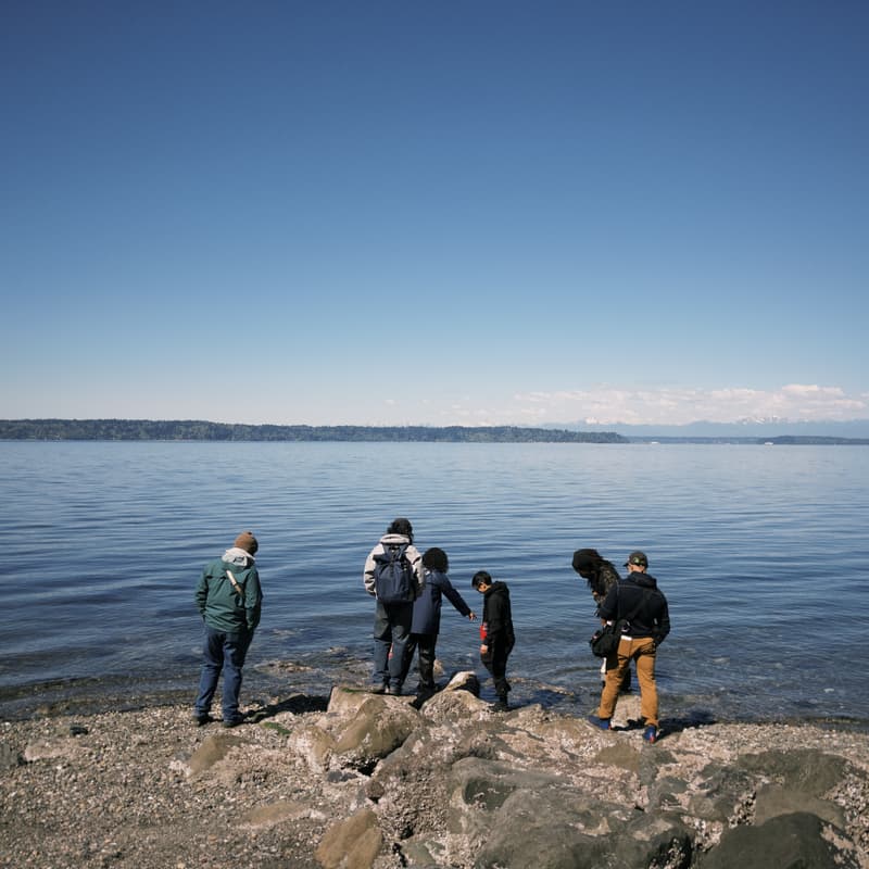 Cover Image for Low Tide Walk
