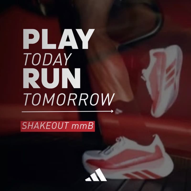 Cover Image for Shakeout mmB