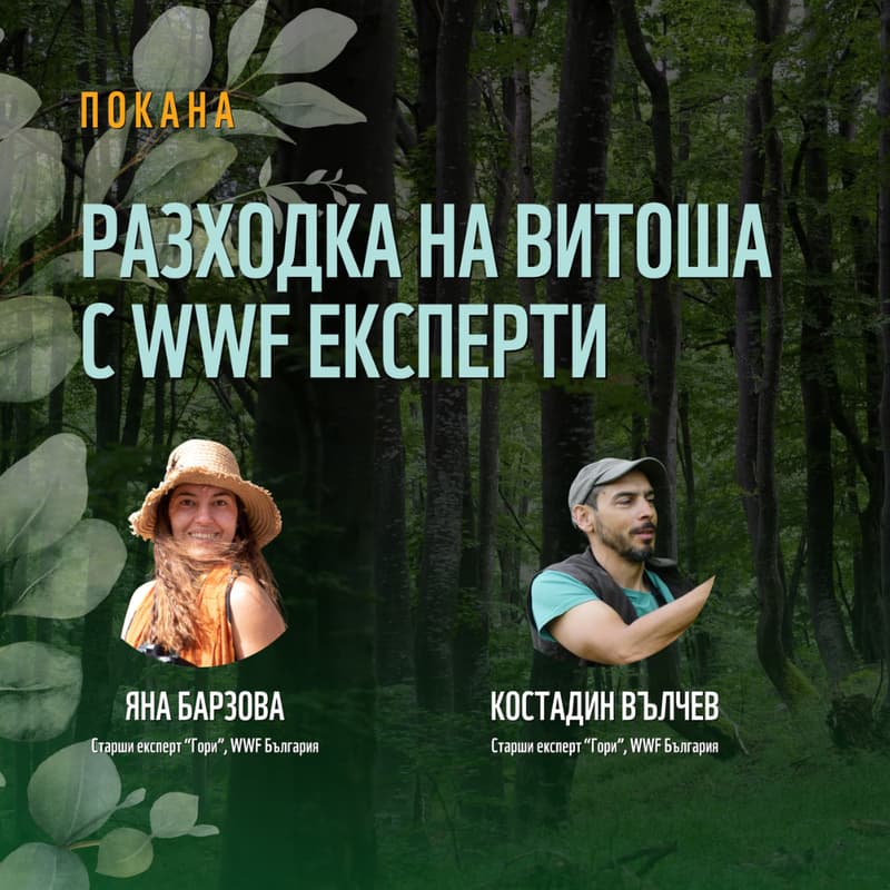 Cover Image for Разходка на Витоша с WWF