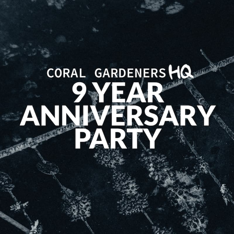 Cover Image for 9-Year Anniversary