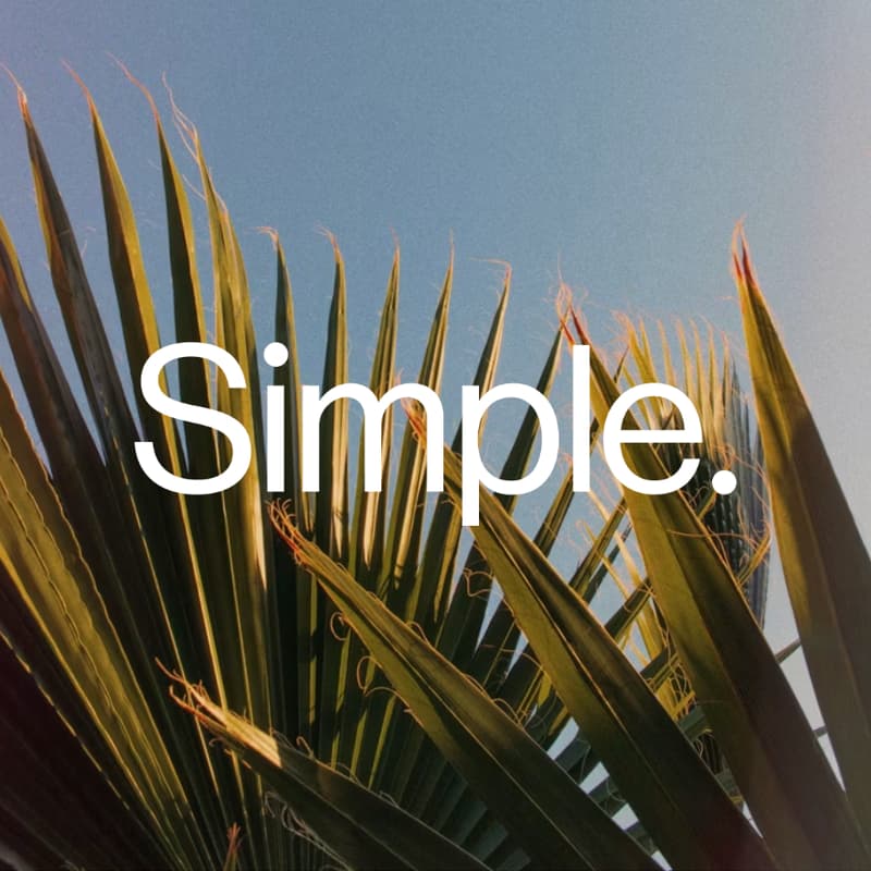 Cover Image for Still Life: On Time, Capital & What AI Cannot Rush | Simple | Newport Beach