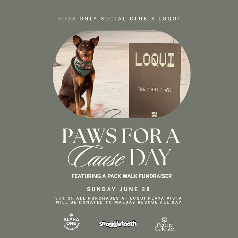 Cover Image for Paws for a Cause: Pack Walk & Community Day