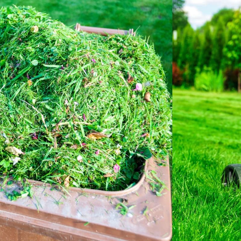 Cover Image for Déchets verts: de l’or dans votre jardin !