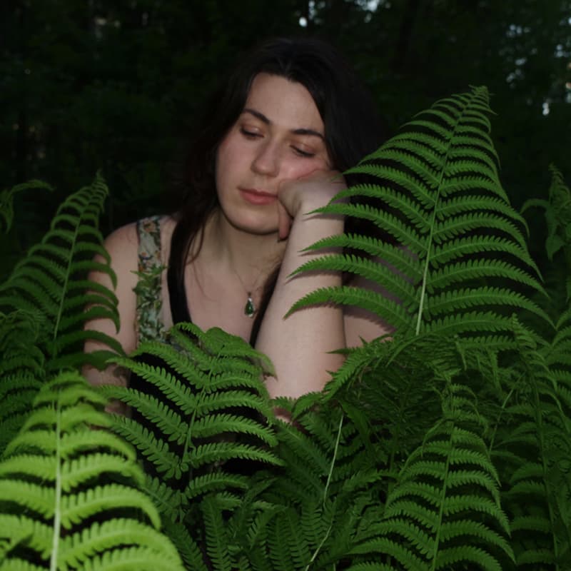 Cover Image for Instinct and Extinct