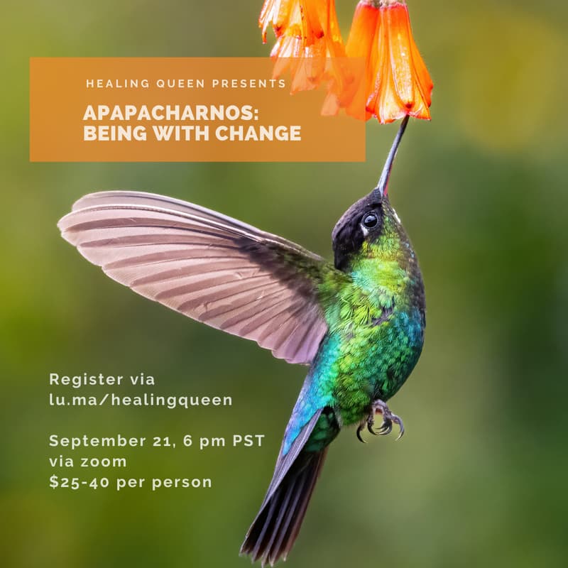 Cover Image for Apapcharnos: Being with Change