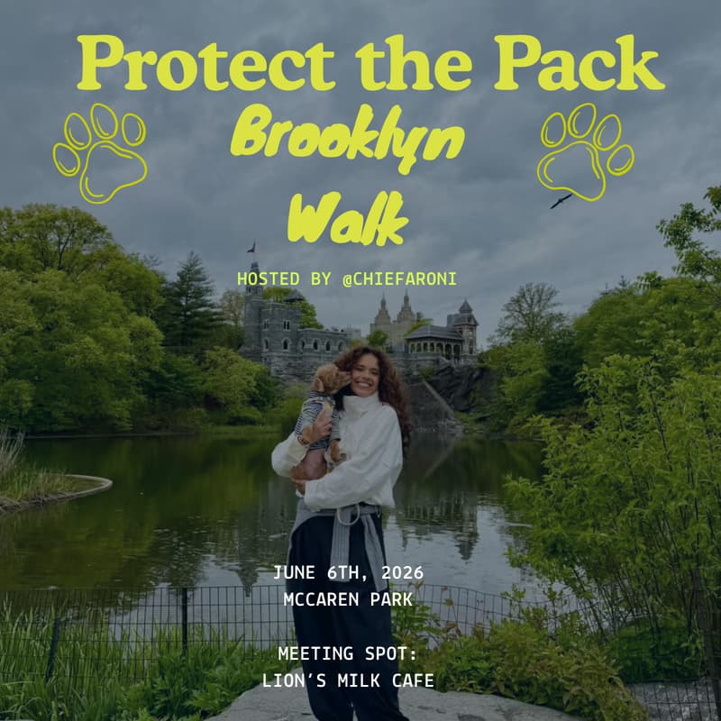 Cover Image for Protect the Pack, Brooklyn Dog Walk