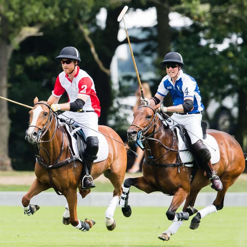 Cover Image for Verta Family Office - Sat 27th VIP Polo Match Day !!