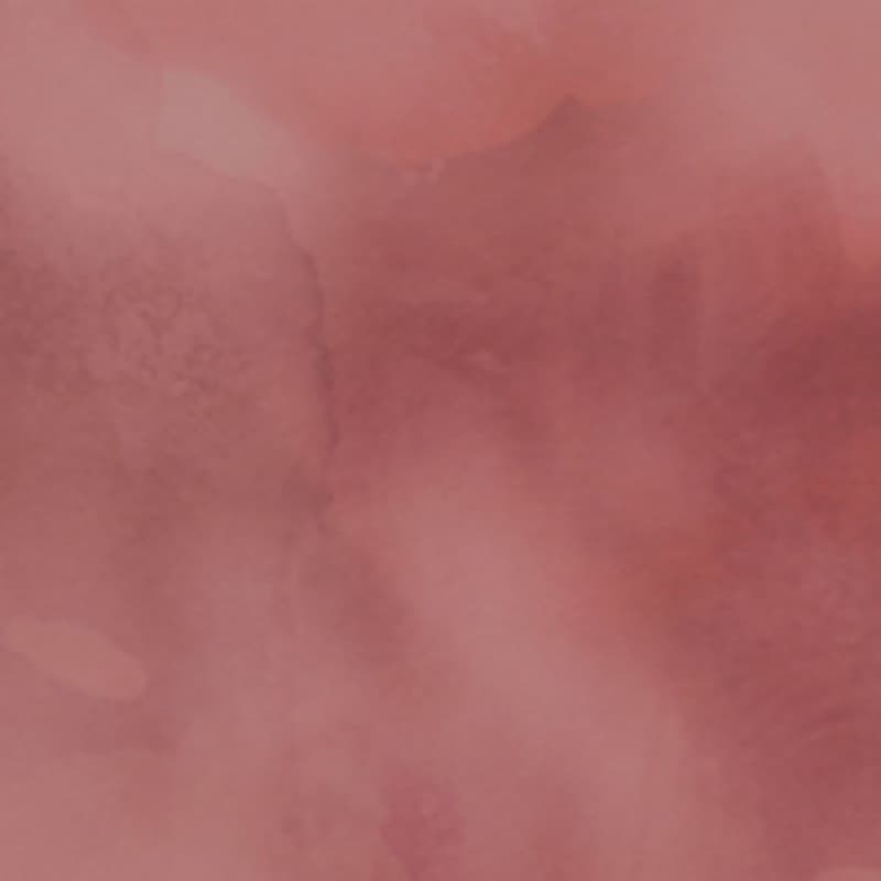 Cover Image for SOLD OUT - Mistinguettes X Octobre Rose🎀