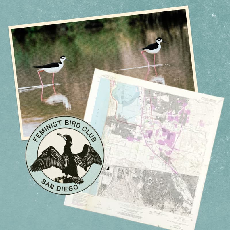 Cover Image for Birding on the Border: Tijuana Estuary Bird Outing for Climate & Environmental Justice
