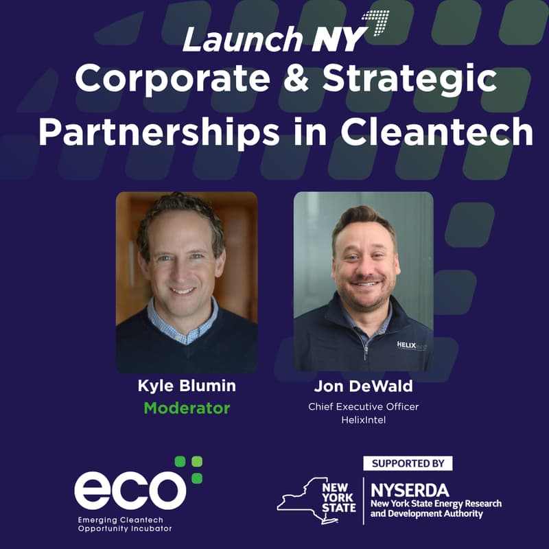 Cover Image for Corporate & Strategic Partnerships in Cleantech