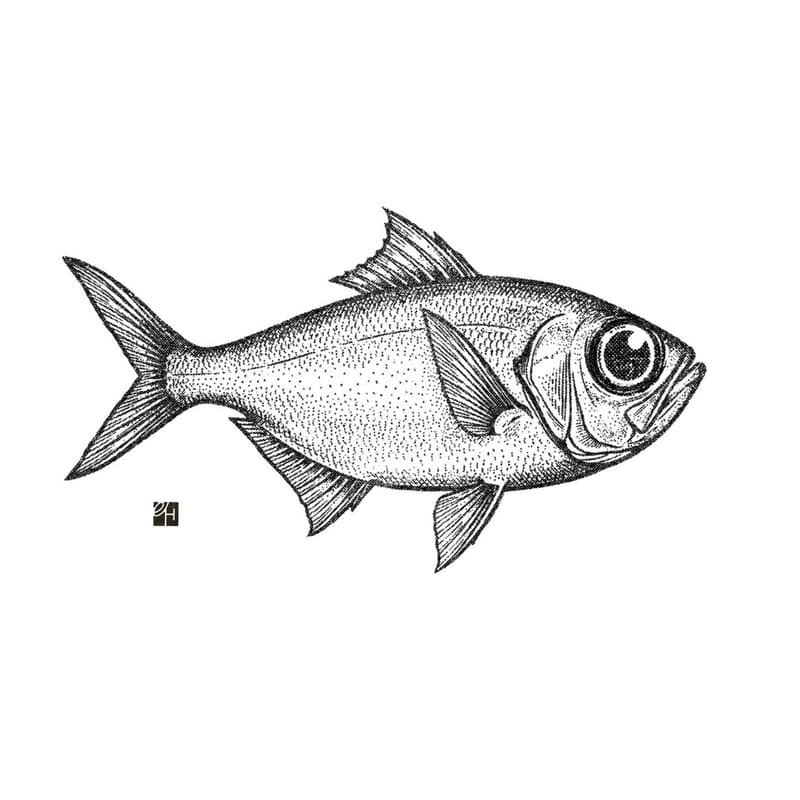 Cover Image for act v