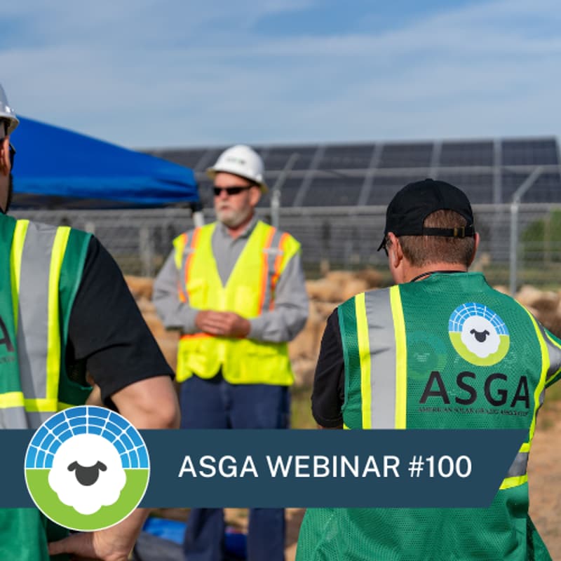Cover Image for ASGA Call 100: Don't be a Baaad Neighbor - Community Engagement Best Practices for Agrivoltaics with SEIA