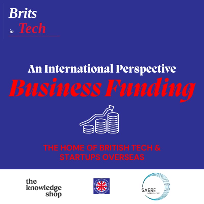 Cover Image for Business Funding - an International Perspective