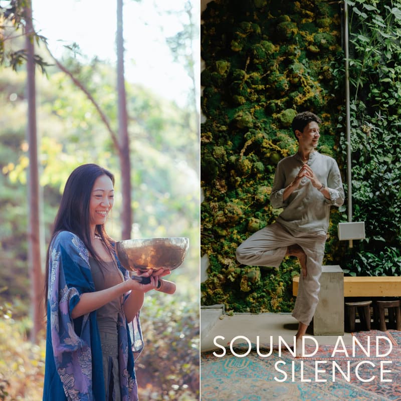Cover Image for Sound and Silence: A Guided Journey