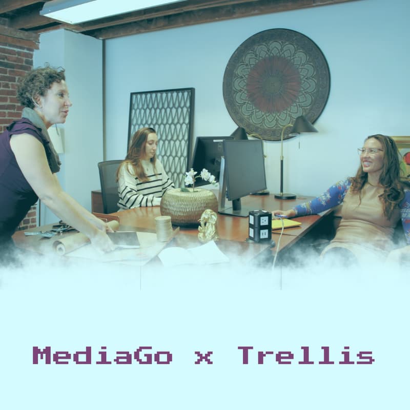Cover Image for MediaGo & Trellis CoWorking Performance Marketing Q4 Webinar