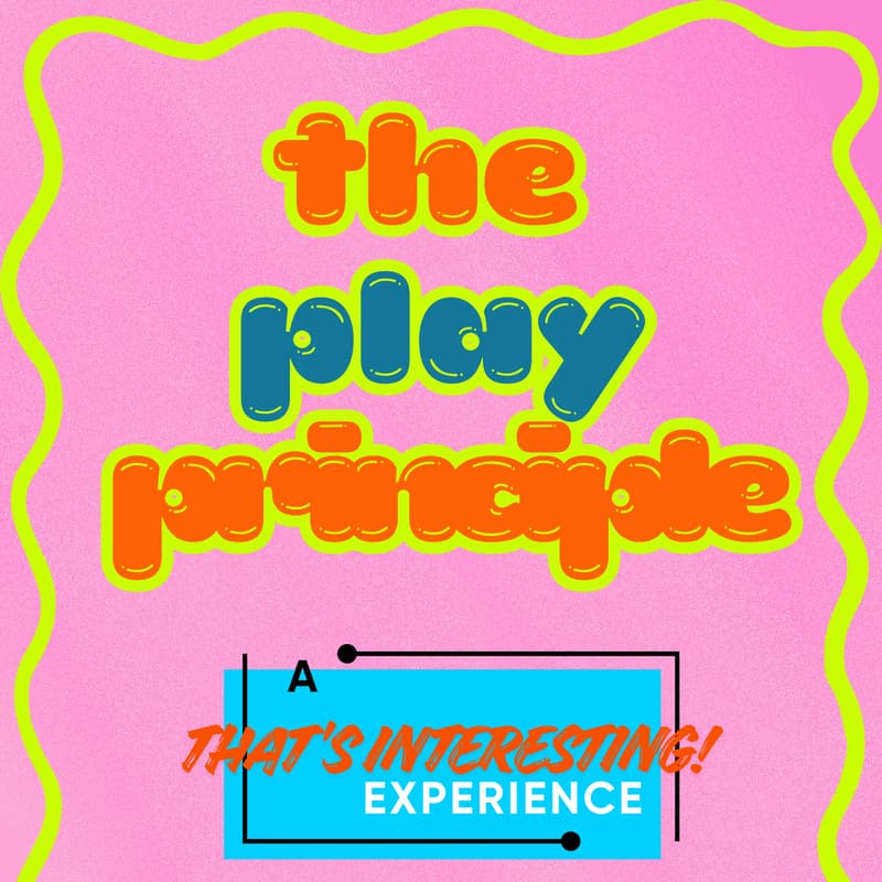Cover Image for The Play Principle