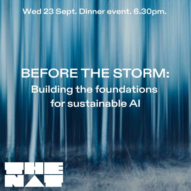 Cover Image for Before the Storm