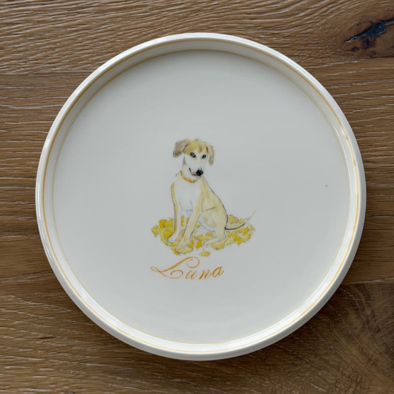 Cover Image for Ceramic Pet Portrait Pop-Up with Relique Studios