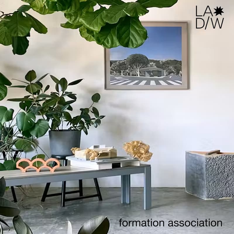 Cover Image for Formation Association