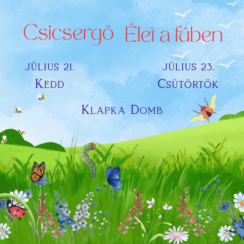Cover Image for Csicsergő 07.21 kedd