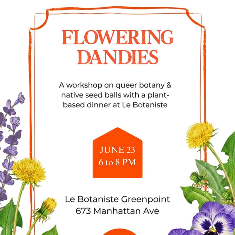 Cover Image for Flowering Dandies