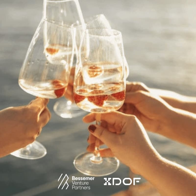 Cover Image for Sunset cruise on the Danube with Bessemer & XDOF