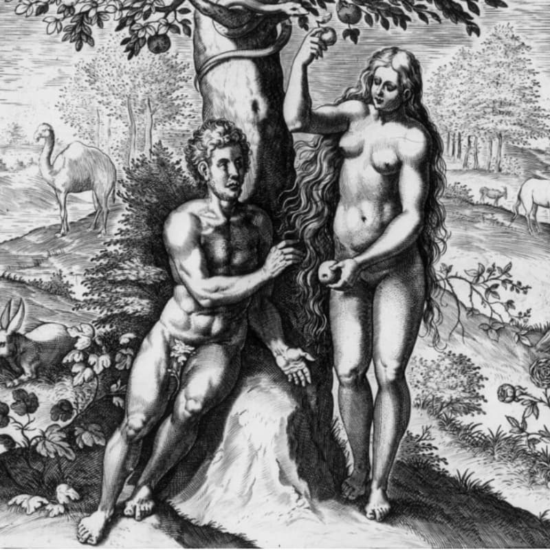 Cover Image for Он, она и они: эволюционная биология пола