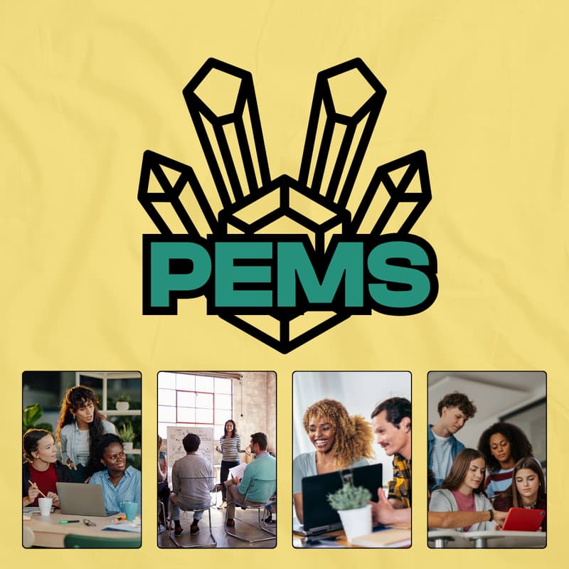 Cover Image for PEMS Focus Group