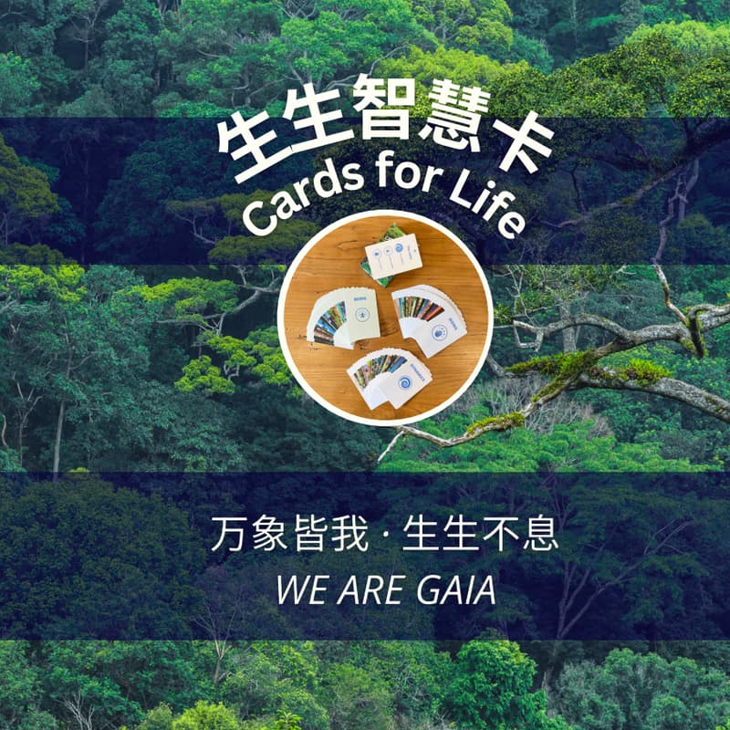 Cover Image for 【Connect (H)ours】生生智慧卡牌工作坊 Cards for Life Workshop